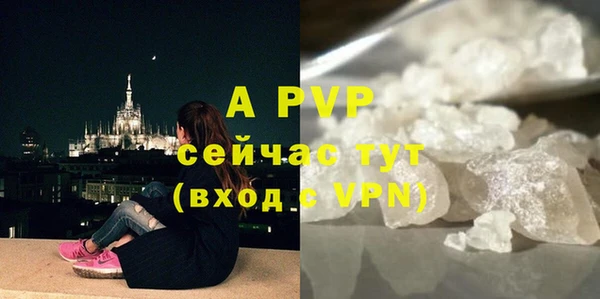 МДПВ Бикин