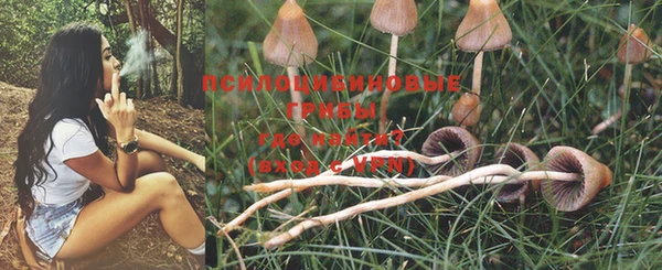 марки lsd Липки