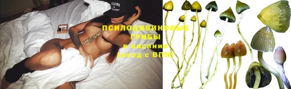 винт Ладушкин