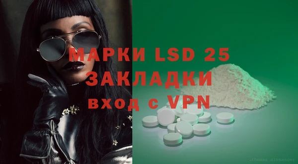ECSTASY Кукмор