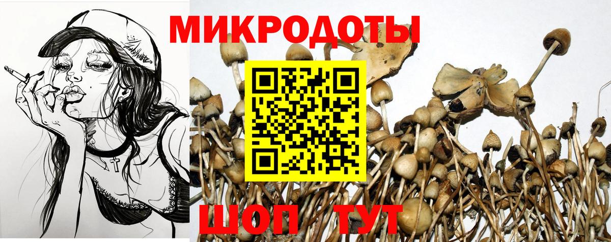 Курганинск  Галлюциногенные грибы MAGIC MUSHROOMS  Вход с VPN 