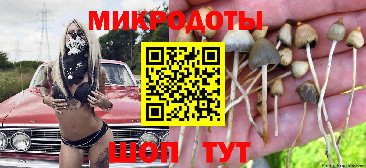 Псилоцибиновые грибы Cubensis Курганинск