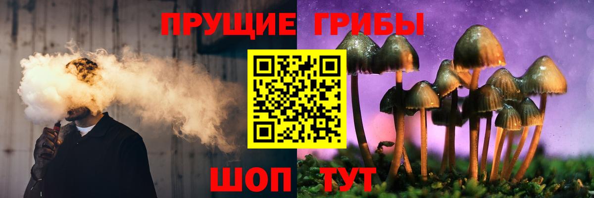 Псилоцибиновые грибы прущие грибы  Псилоцибиновые грибы ЛСД  Курганинск 